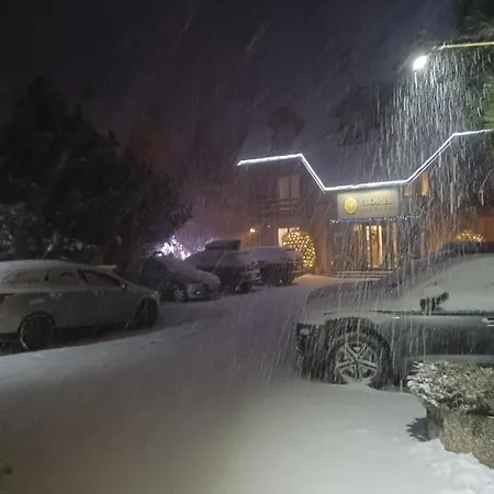 Flores Maison d'hôtes