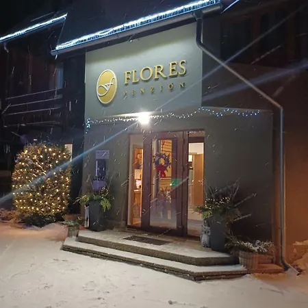 ゲストハウス Flores